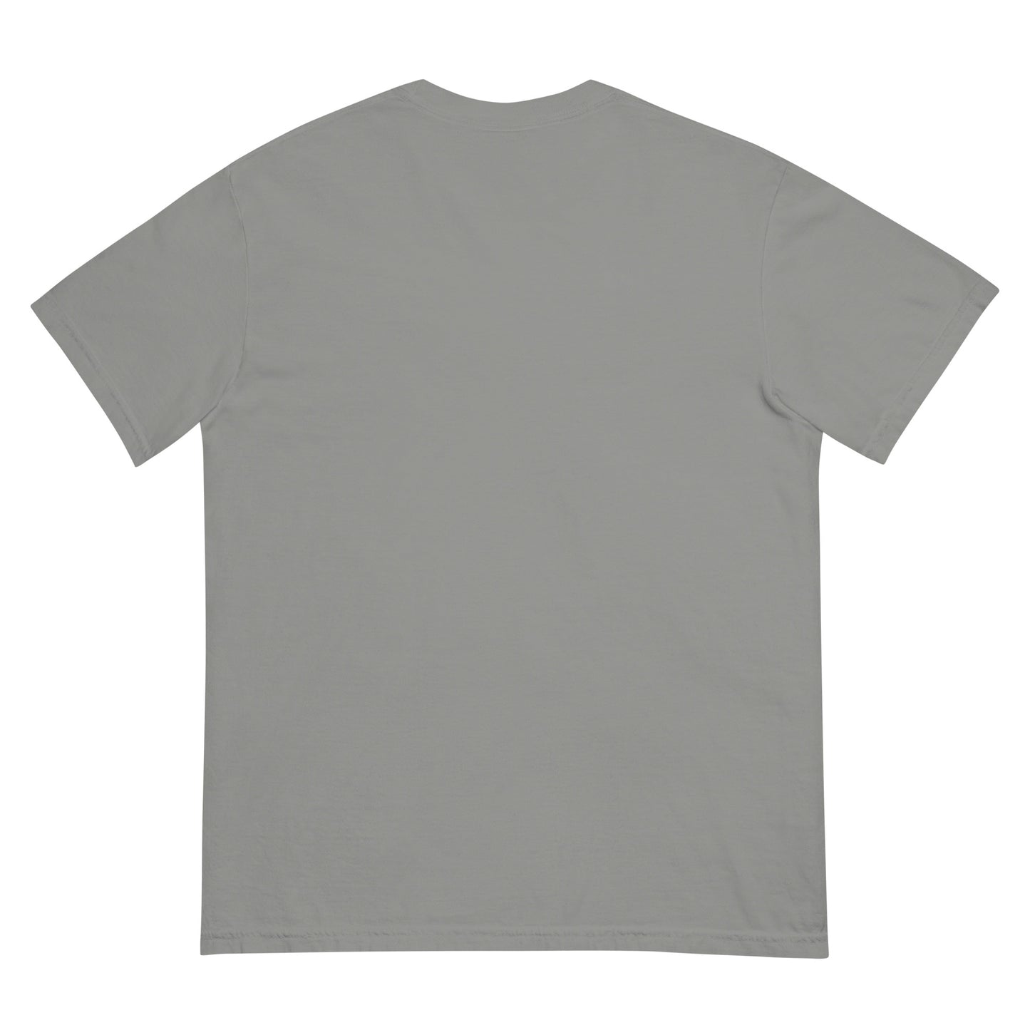 Seeing Stars grey unisex t-shirt